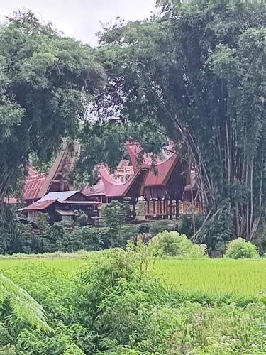 una casa en medio de un campo con árboles en THE TWINS HOMESTAY, en Rantepao