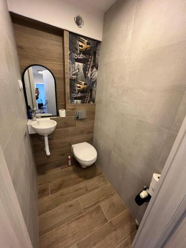 een badkamer met een toilet, een wastafel en een spiegel bij Pokoje Brynów in Katowice