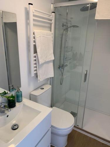 a bathroom with a shower and a toilet and a sink at Casita privada in Alpedrete