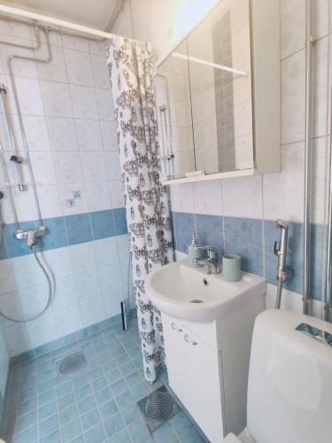 a bathroom with a sink and a toilet and a shower at Möysä beach apartment in Lahti