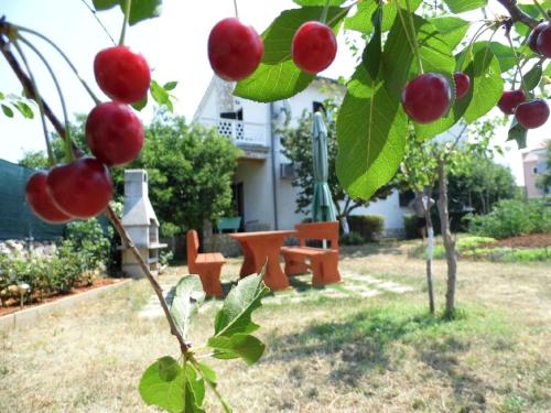 schöne Wohnung im Erdgeschoss, geeignet für Kinder Es hat schöne Terrasse und großen geräumigen Garten mit Grill
