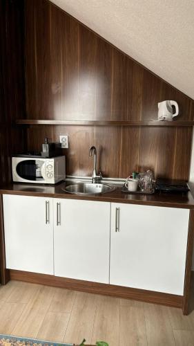 Una cocina o zona de cocina en Apartments HAN Alifakovac-Sarajevo