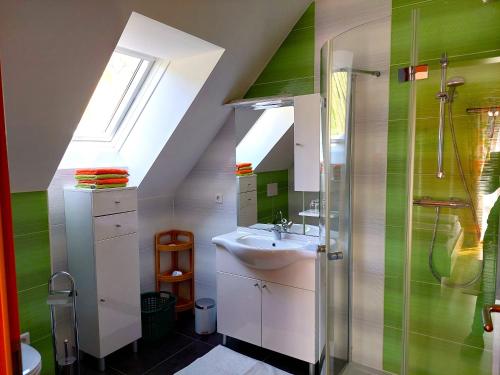 y baño pequeño con lavabo y ducha. en Ferienwohnung Stoff, en Kitzeck im Sausal