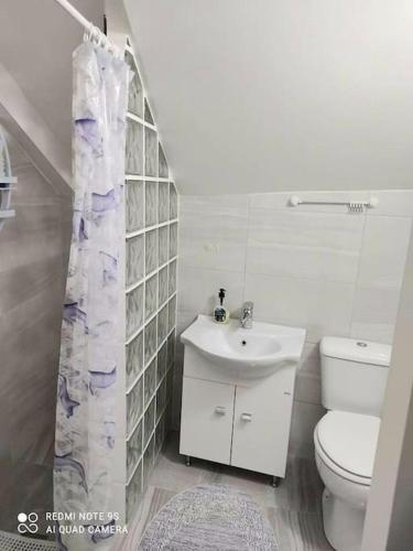 a bathroom with a sink and a toilet and a shower curtain at Thea apartments 3 in Platamonas