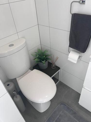 a white bathroom with a toilet and a plant at Stunning Harbour Views in Sydney