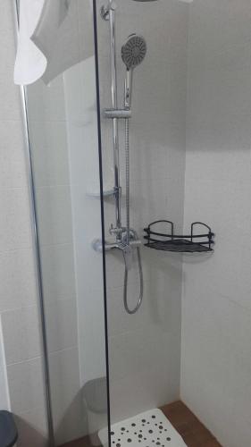 a shower with a glass door in a bathroom at Izvorul Maleii in Petrila