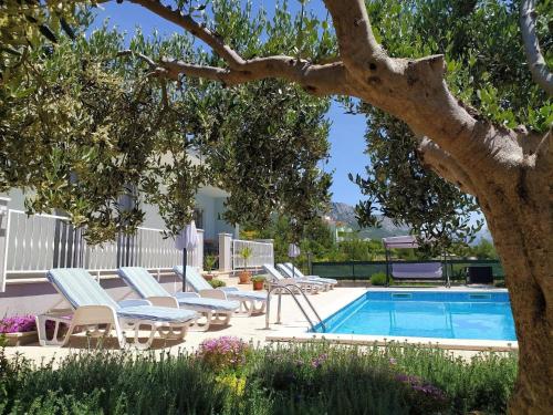 - une piscine avec des chaises longues et un arbre à côté dans l'établissement Ferienhaus mit Privatpool für 6 Personen ca 86 qm in Kaštel Gomilica, Dalmatien Kaštela und Umgebung, à Kaštela