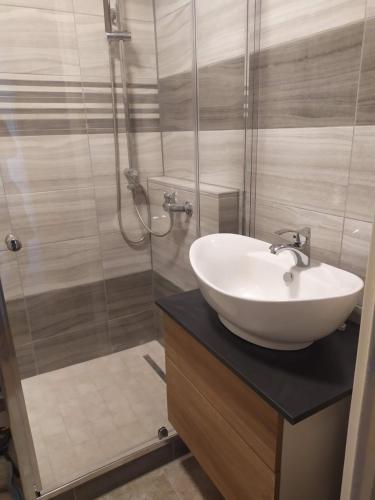 uma casa de banho com um lavatório e um chuveiro em Hetedik Apartman em Pécs