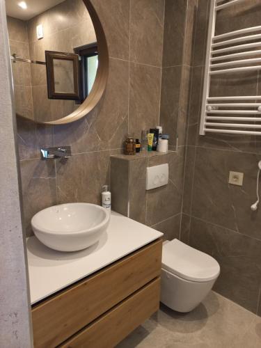 a bathroom with a sink and a toilet and a mirror at Drinski Zen in Okletačko Polje