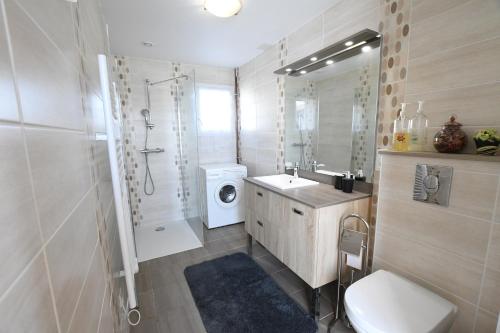 a bathroom with a sink and a toilet and a shower at Gite Le Courlis in Outines