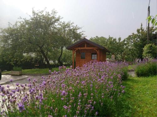 una pequeña cabaña de madera en un campo de flores púrpuras en Ferienwohnung für 4 Personen ca 72 qm in Slap ob Idrijci, Küstenland Slowenien en Slap ob Idrijci