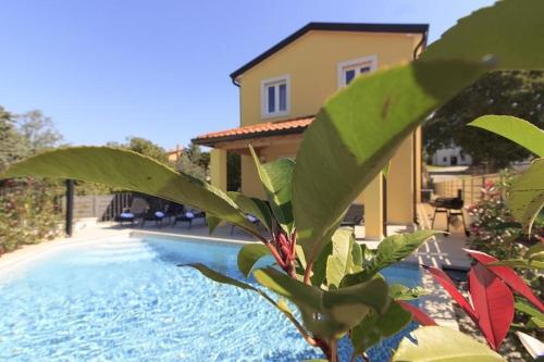 una casa con piscina al lado de una casa en Ferienhaus mit Privatpool für 8 Personen ca 120 qm in Mugeba, Istrien Istrische Riviera, en Mugeba