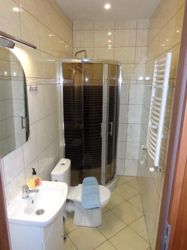 uma casa de banho com um chuveiro, um WC e um lavatório. em Noclegi Skałka em Olsztyn