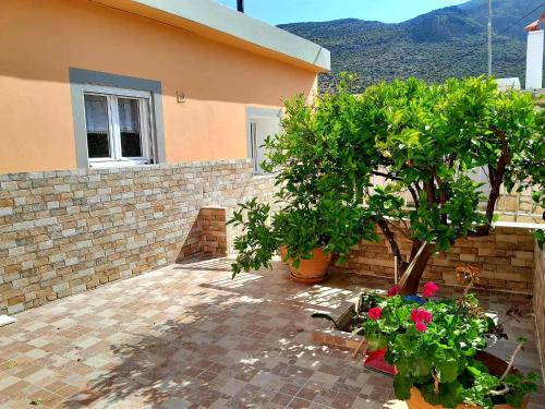 a house with a tree and flowers in a courtyard at Katerina's House in Sitia