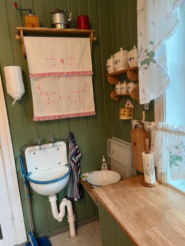 a bathroom with a sink and a toilet in it at Koselig feriehus, Birkedaltunet in Løvoll
