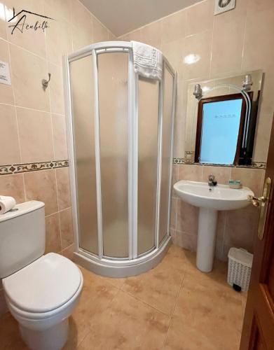 a bathroom with a shower and a toilet and a sink at ACUBILLO in Palas de Rei 