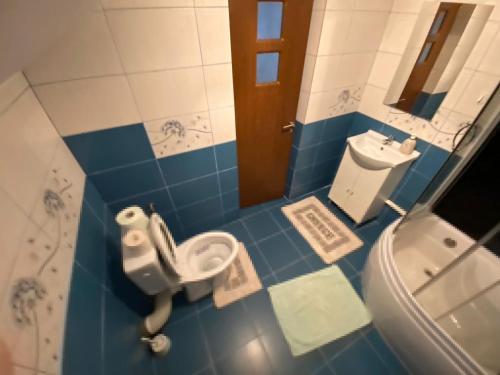 a blue and white bathroom with a toilet and a sink at Pensiunea Casa Andrei in Bîrsana