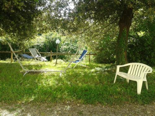 dos sillas y una mesa en la hierba bajo un árbol en Ferienwohnung für 5 Personen ca 80 qm in Fauglia, Toskana Etruskische Küste, en Fauglia