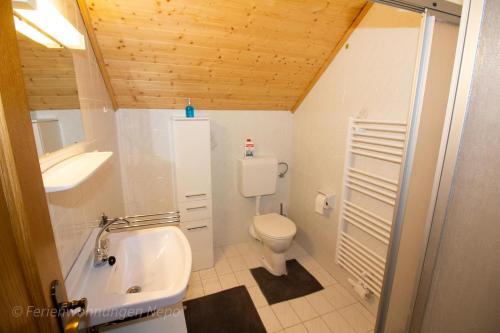 PeratschitzenにあるLandhaus Nepo - Natur purの小さなバスルーム(トイレ、シンク付)