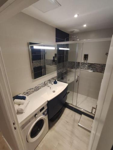 une salle de bain avec douche et lavabo et une machine à laver dans l'établissement Appartement Centre Carmes, à Toulouse