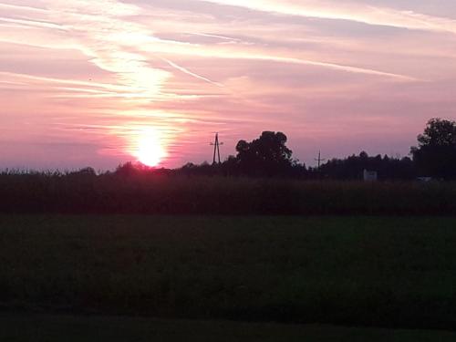 a sunset in a field with the sun in the sky at Landhaus Nepo - Natur pur in Peratschitzen