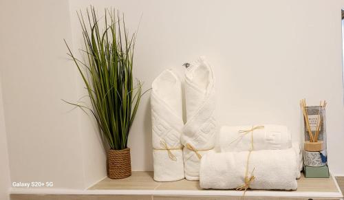 une étagère avec des serviettes blanches et une plante dessus dans l'établissement Appartement T2 centre ville Île Rousse, à LʼÎle-Rousse