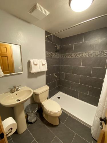 a bathroom with a toilet and a sink and a tub at Corral Hideaway Steps from Downtown in Breckenridge