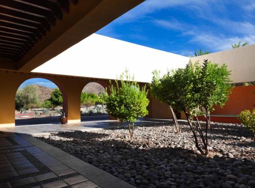 a courtyard with two trees and a building at Loreto Bay Golf & Sea at Baja in Loreto