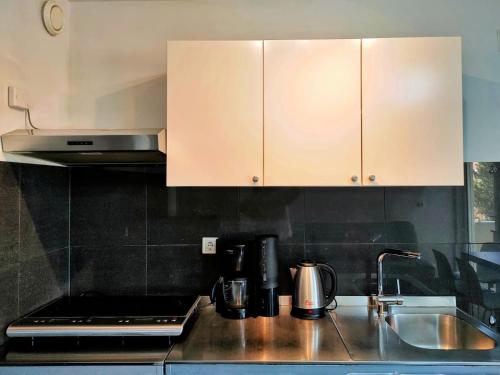 a kitchen with a sink and a counter top at Rafael Apartments in Medulin