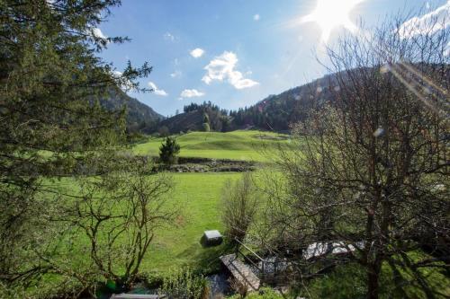 uma vista para um campo verde com montanhas ao fundo em Ferienwohnung für 2 Personen ca 35 qm in Schneizlreuth-Weißbach, Bayern Oberbayern em Schneizlreuth