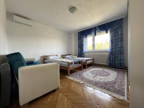 塞拉耶佛的住宿－Pool Villa Sarajevo，一间配有沙发、一张床和窗户的客房