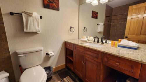 La salle de bains est pourvue de toilettes, d'un lavabo et d'un miroir. dans l'établissement Walk to Skiing Hiking and Main Street, à Breckenridge