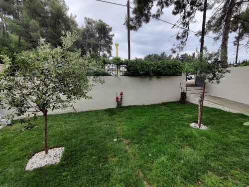 Gallery image of Johanna's Home near the sea - Olivia Studios in Agia Triada