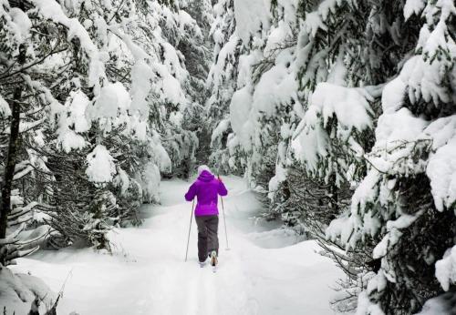 a person on skis walking through a snow covered forest at Cozy 2BR Condo Near Peak 8 and Town with Hot Tub Access in Breckenridge