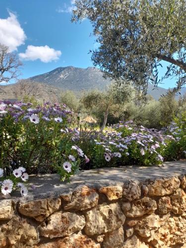 a stone wall with flowers in front of a mountain at Jenny's Greek Villa in Levktron