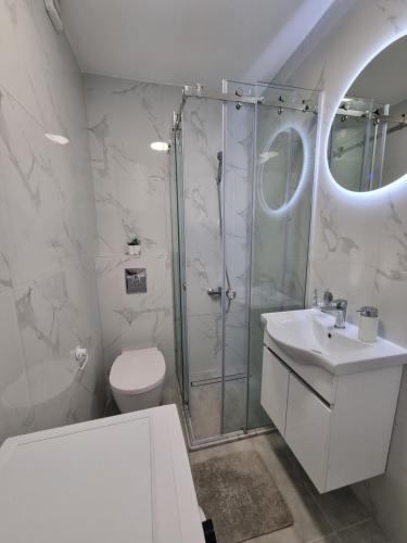 een badkamer met een douche, een toilet en een wastafel bij Apartment Ninas in Dobrota