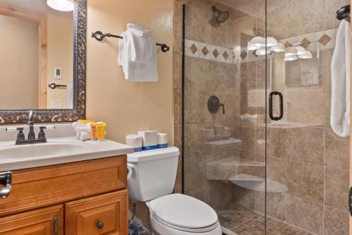 a bathroom with a shower and a toilet and a sink at Cozy Ski In Ski Out Walk to Main St in Breckenridge