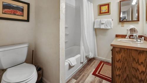 a bathroom with a toilet and a shower and a sink at 1BR Rustic Retreat Near Trails and Slopes in Dillon