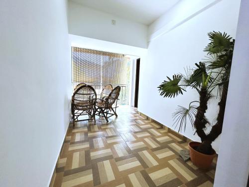 a room with chairs and a potted plant on the floor at Deluxe Residency in Kalpetta