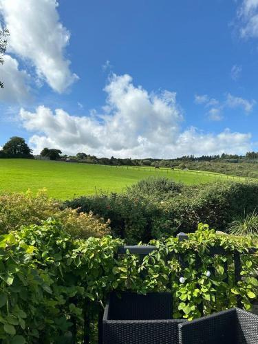 a view of a field from a garden with bushes at Luxurious villa south Dublin in Dublin