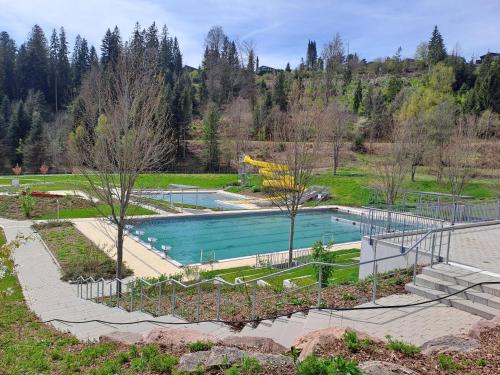 ein Schwimmbad in einem Park mit Bäumen und Bergen in der Unterkunft Les Papillons in Tennenbronn