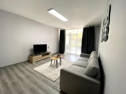 een woonkamer met een bank en een tv bij Charmante T3 sur la Côte d’Azur in Nice