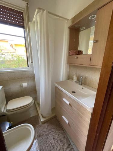 a bathroom with a toilet and a sink and a mirror at Villa Acacie Capì in Villaggio San Leonardo