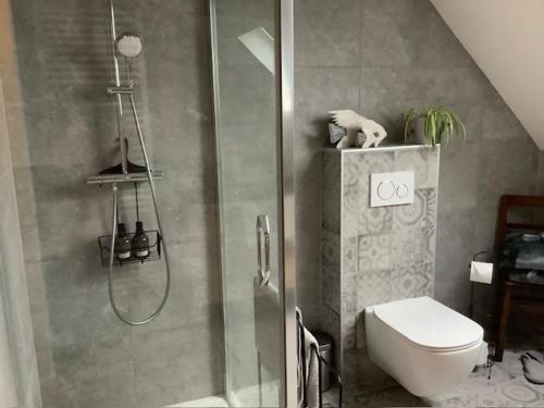 uma casa de banho com um chuveiro e um WC. em B&B Schaliëndak em Kortenberg