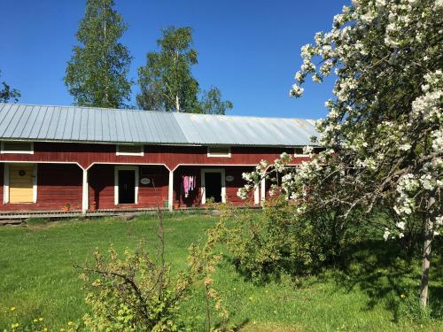 Ollilan tupa Joensuun lähelläにある庭