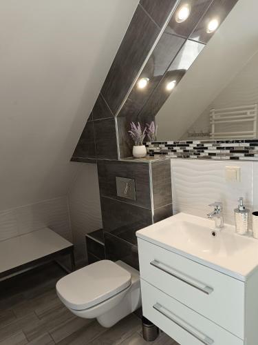 a bathroom with a white toilet and a sink at Słoneczny Bliźniak in Ściegny