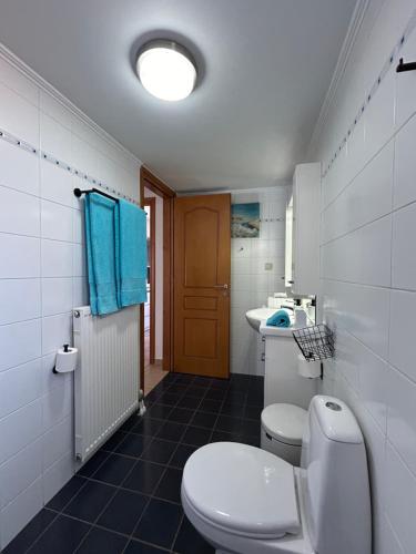 瓦莫斯的住宿－Villa LP Kokkino Chorio，一间带卫生间和水槽的浴室