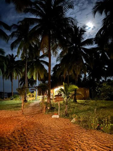 a dirt road with palm trees in a field at Kitelantis Hotel and Resort in Kalpitiya