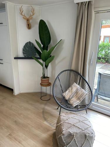 a room with a chair and a plant and a window at Sfeervol chalet Hoenderloo, de Veluwe in Hoenderloo