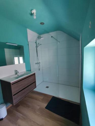 une salle de bain avec douche et lavabo dans l'établissement Bienvenue chez Pépère, à Nitry